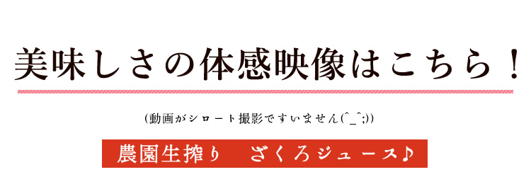 美味しさの体感映像はこちら!農園生搾りのザクロジュース♪