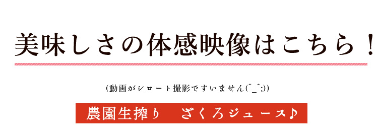 ユーチューブ動画紹介