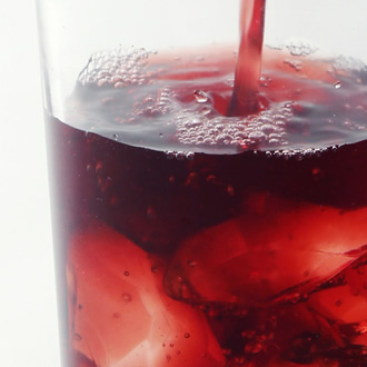 定期便/毎回2本】ざくろ100%エキス(5倍濃縮果汁) 500ml - 野田ハニー