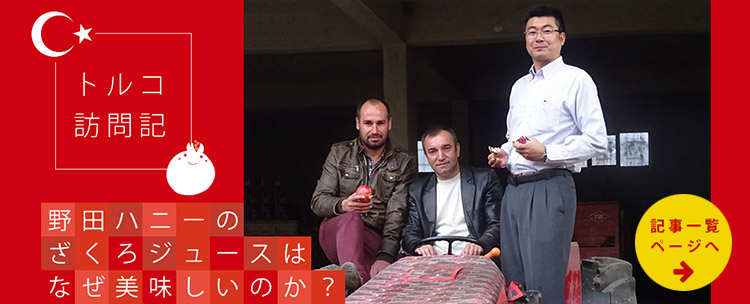トルコ訪問記
