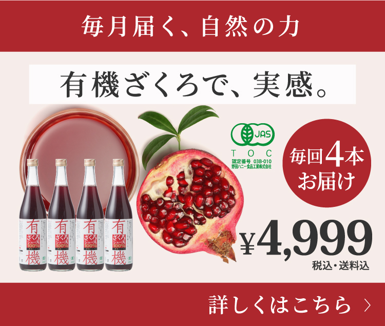 定期購入4本セット