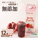 【12本セット】ざくろ100%ジュース 1000ml