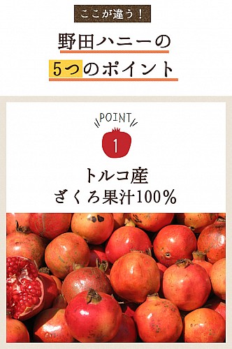 <12本セット>野田ハニー ざくろジュース100% 1000ml 無添加