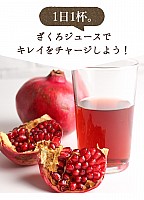 <店内最安値>【定期便】ざくろ100%ジュース 1000ml/毎回3本 【374】