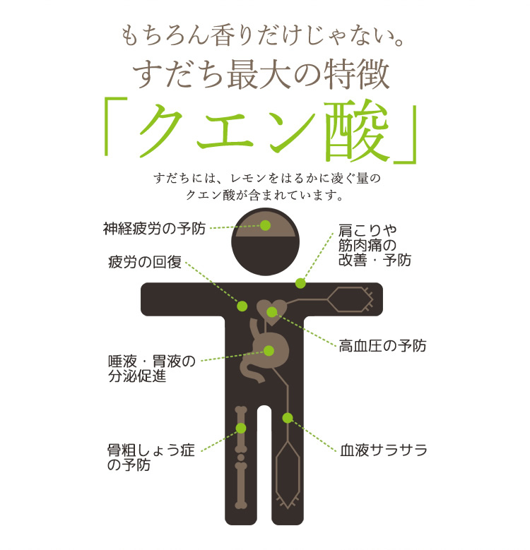 すだちの最大の特徴「クエン酸」 すだちには、れもんをはるかに凌ぐ量のクエン酸が含まれており、クエン酸は神経疲労の予防、疲労の回復、肩こりや筋肉痛の改善・予防、高血圧の予防、骨粗しょう症の予防良い成分