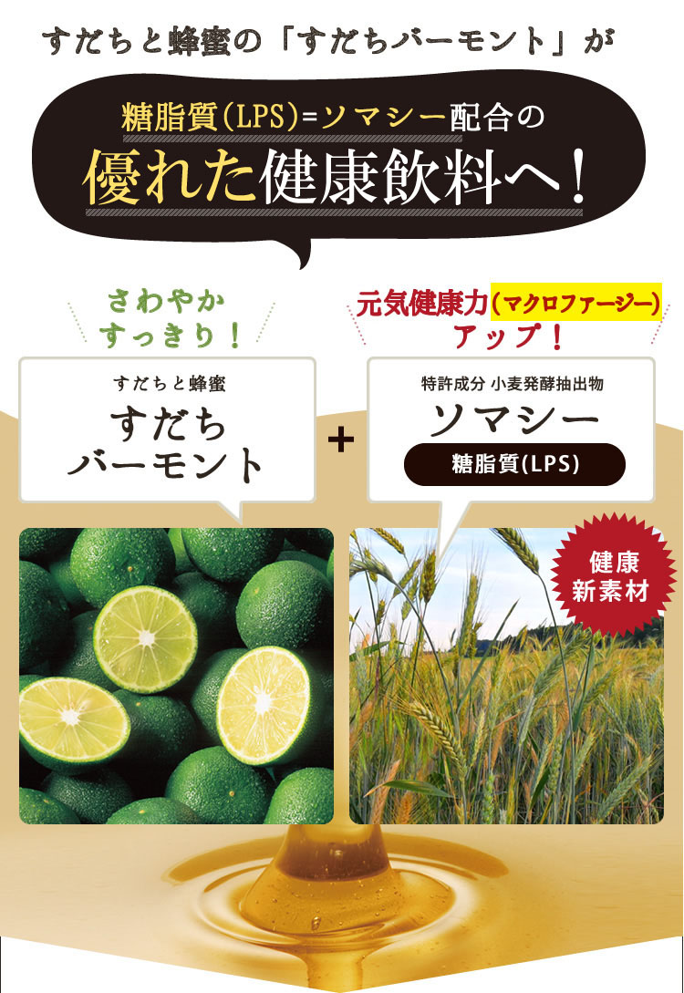 すだちバーモントソマシー - 野田ハニードットコム