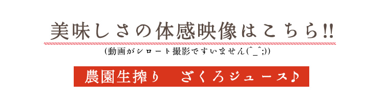 農園生搾り ざくろジュース