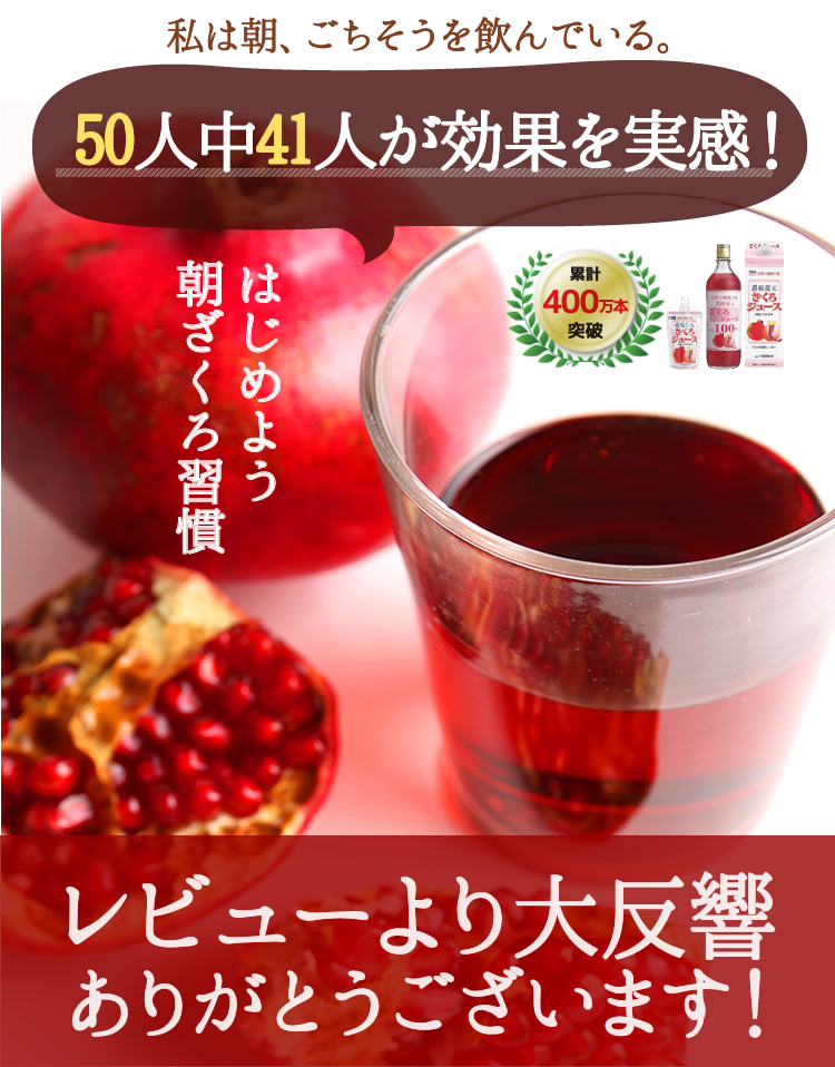 BOTO ボトゥ ザクロジュース 80ml 10パック - 酒