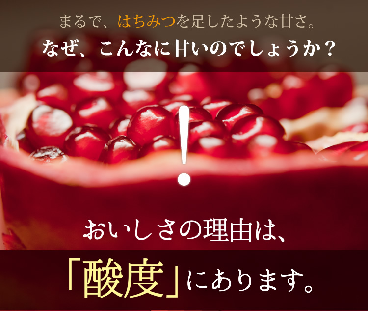 ざくろ100%ジュースなら野田ハニー - 野田ハニードットコム