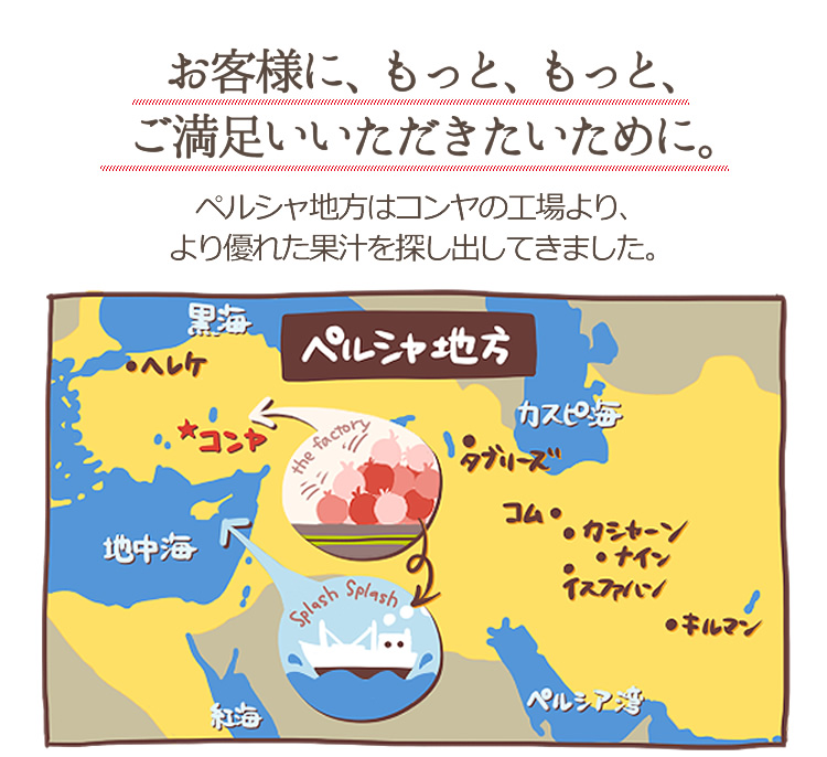 ペルシャ地方はコンヤの工場より、より優れた荷果汁を探し出してきました。