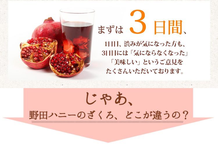 <12本セット>野田ハニー ざくろジュース100% 1000ml 無添加