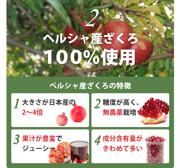ペルシャ産ざくろ100%使用 大きさが日本産の2～4倍　糖度が高く、果汁が豊富でジューシー 成分含有量がきわめて多い